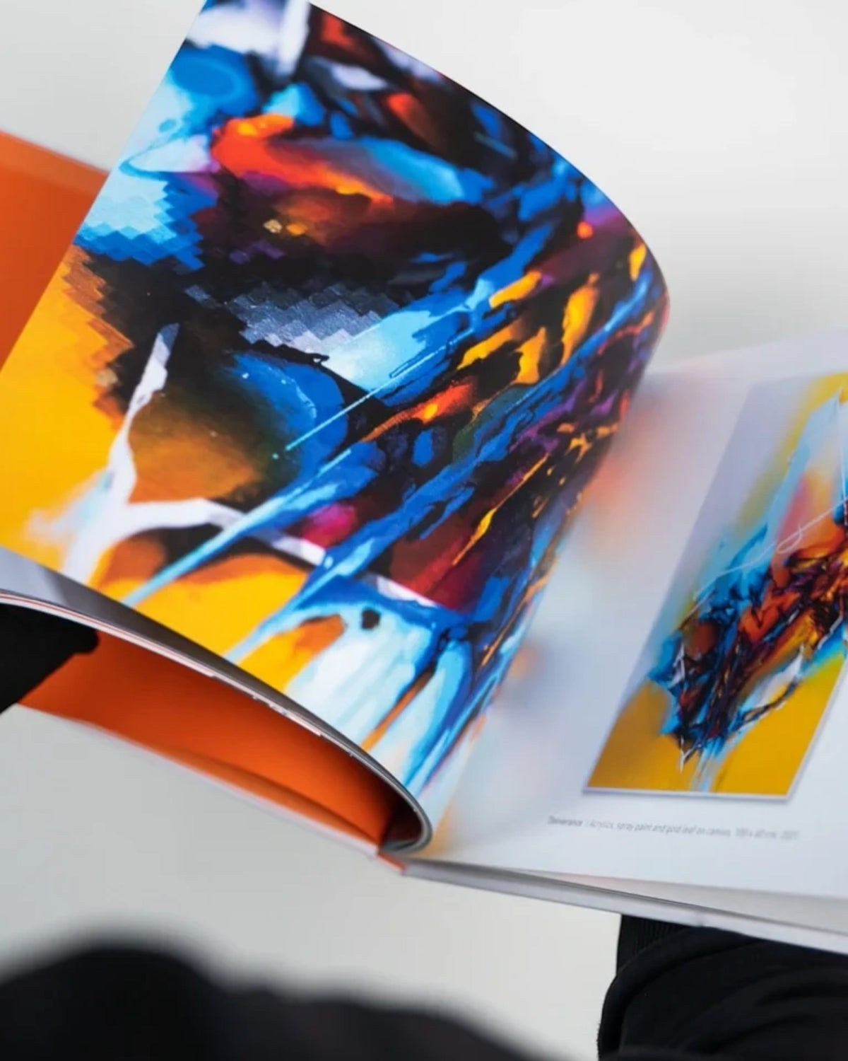 Astrofat DOES First 20 Years art book featuring vibrant abstract sketches and paintings on glossy pages.
