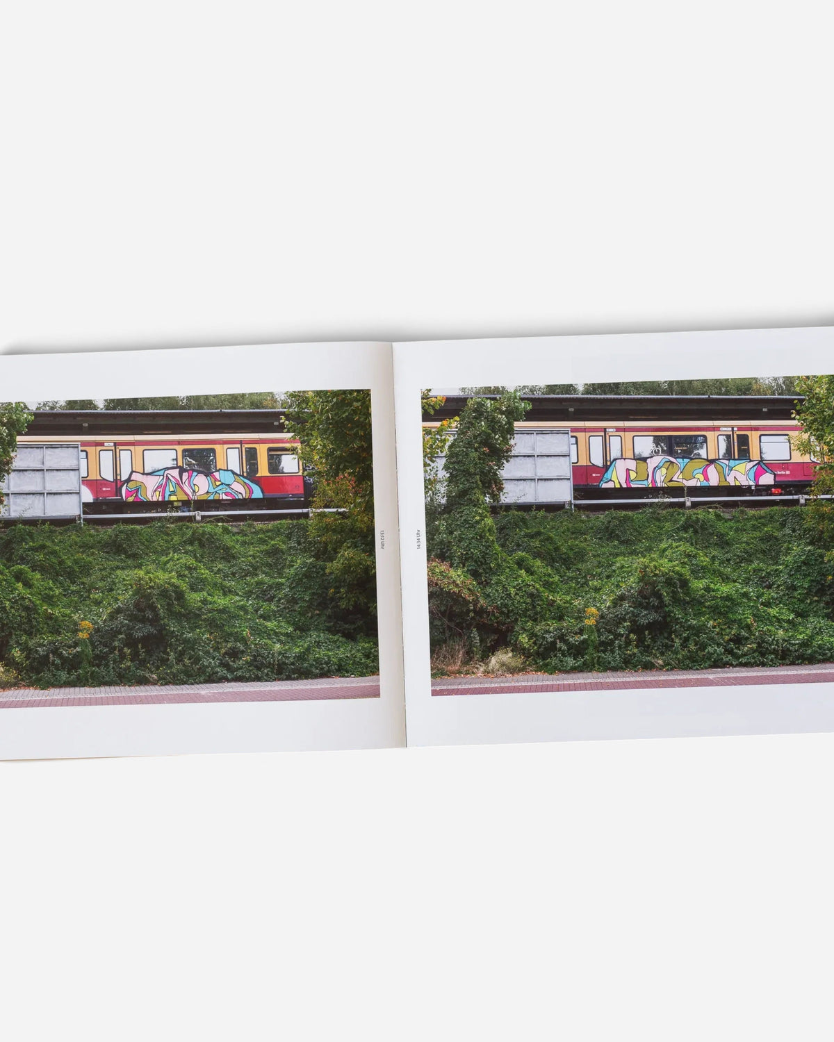 Astrofat Farbzüge photography book open to a spread showing two photos of graffiti-covered Berlin trains in nature.